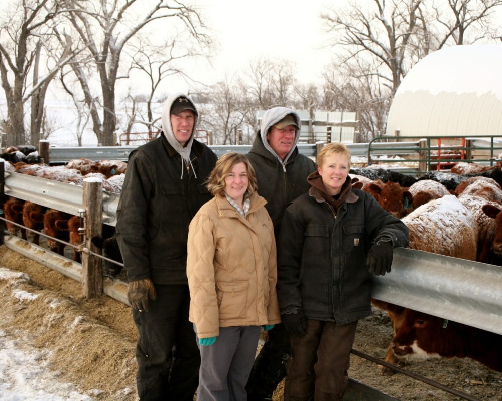 Rake in Greater Capacity and Higher Hay Quality