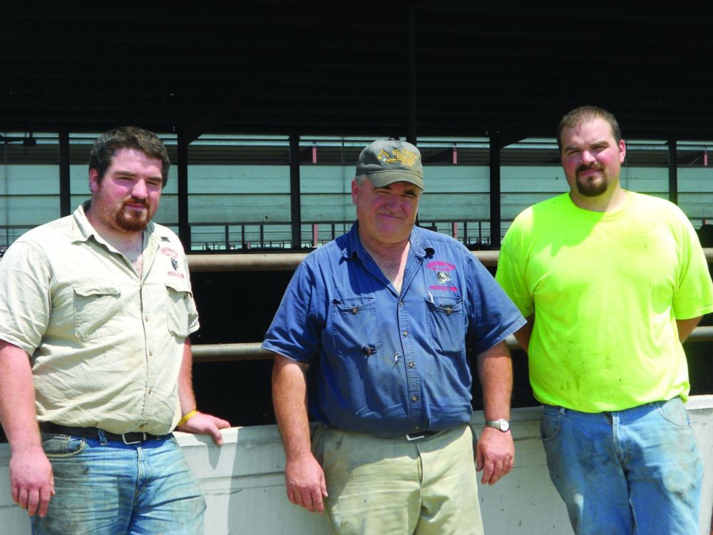 The Future of Feeder Cattle