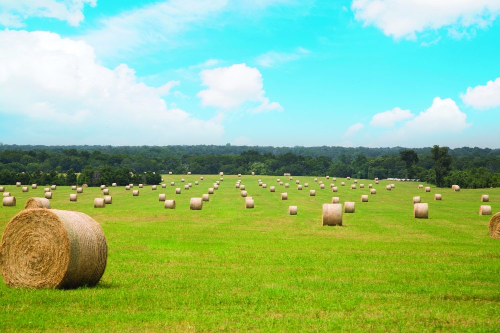 Better Bale Appearance By Correcting Equipment Settings
