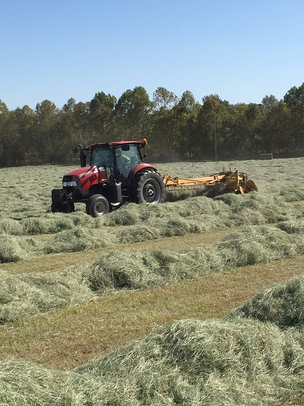 Vermeer R2300 Twin Rake in Field at Pitchfork Farm