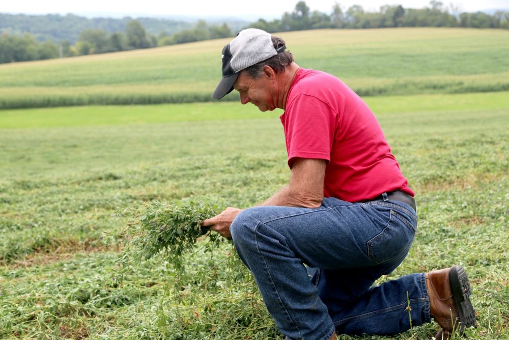 Phil Johnson at his farm near Goshen, New York.