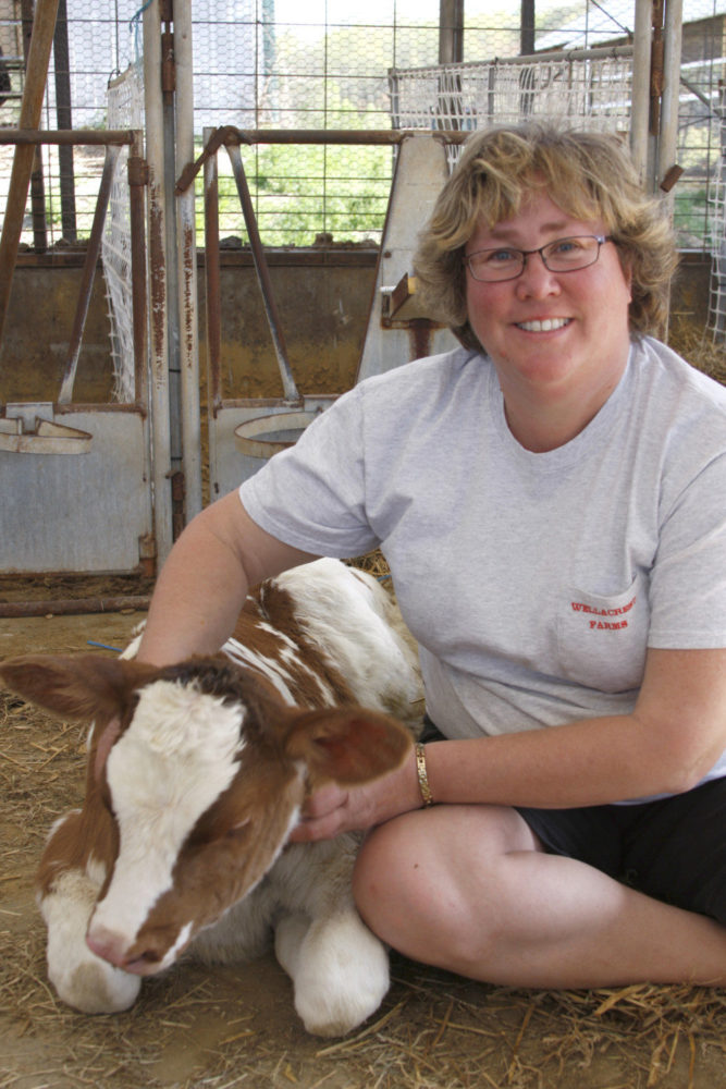 Marianne Eachus with calf