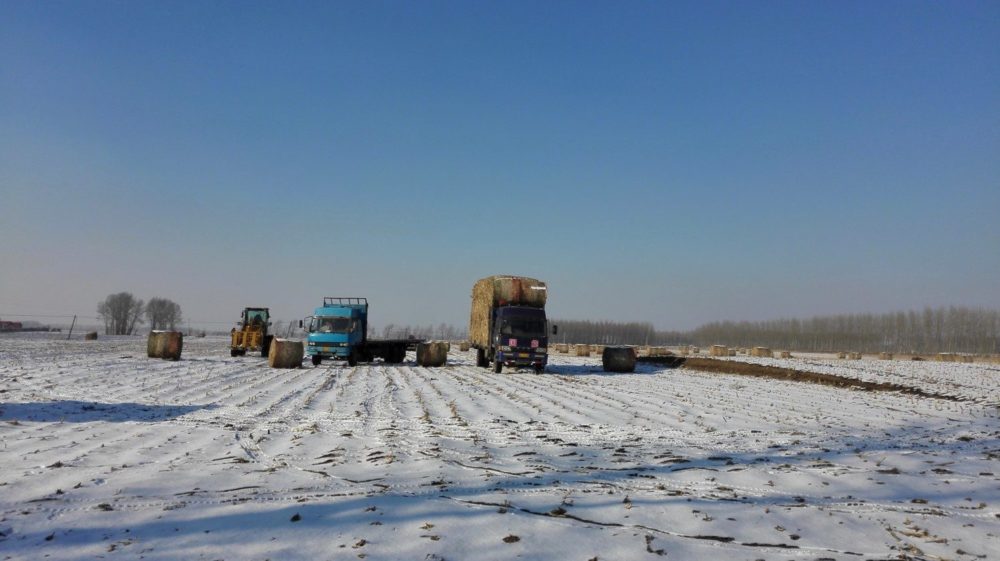 Trucks in field with hay bales in China