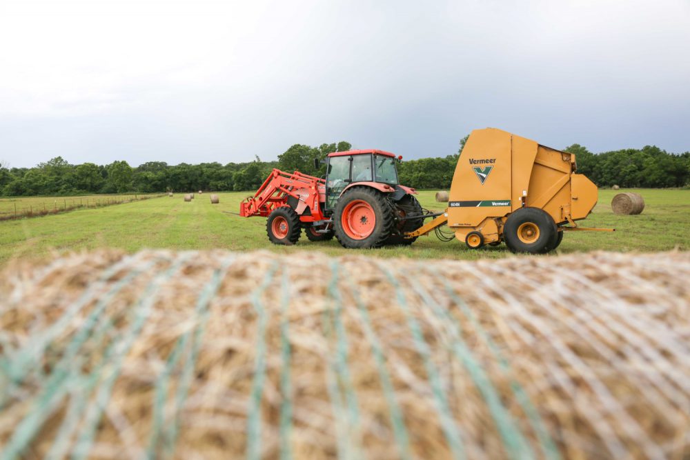 Vermeer 604N Bale Processor in field