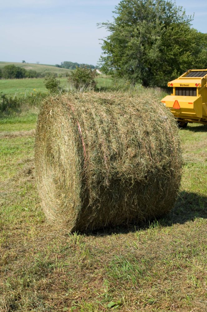 Twine bale