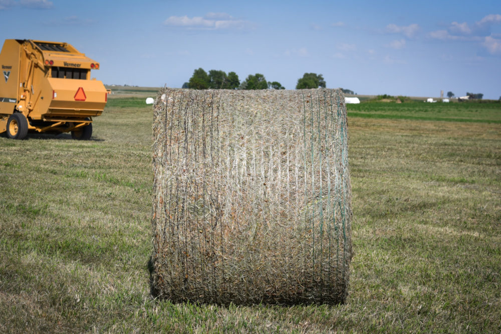 Why It’s Valuable to Know Your Forage Tonnage