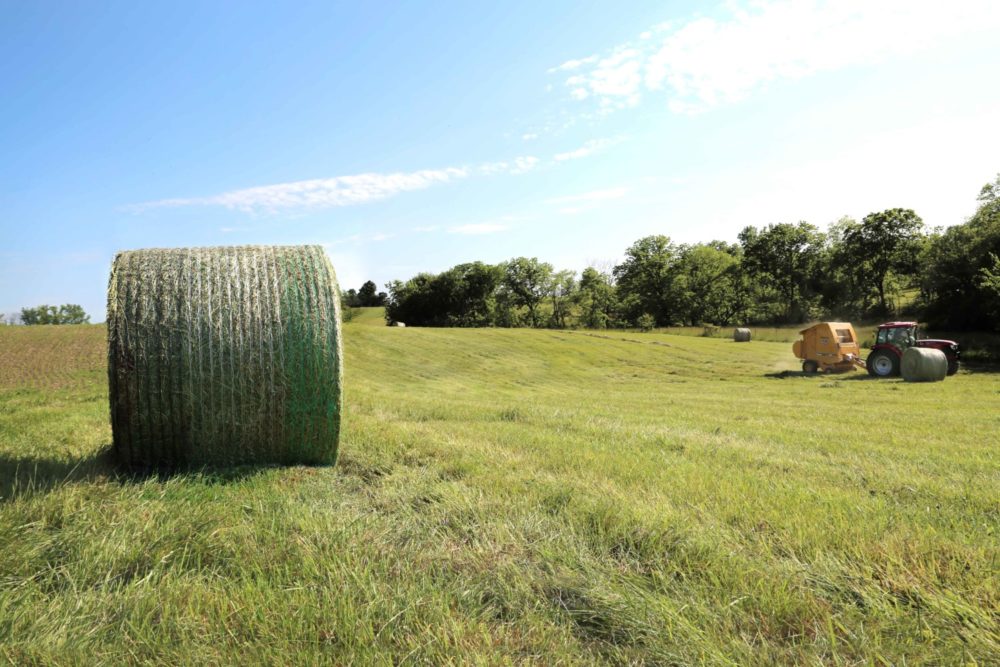 Netwrap vs. Twine