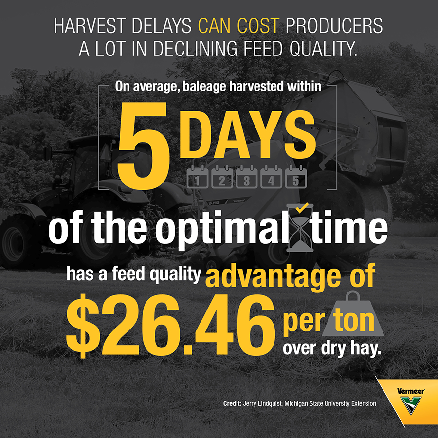Will Baleage Pay? Consider Feed Needs, Economics