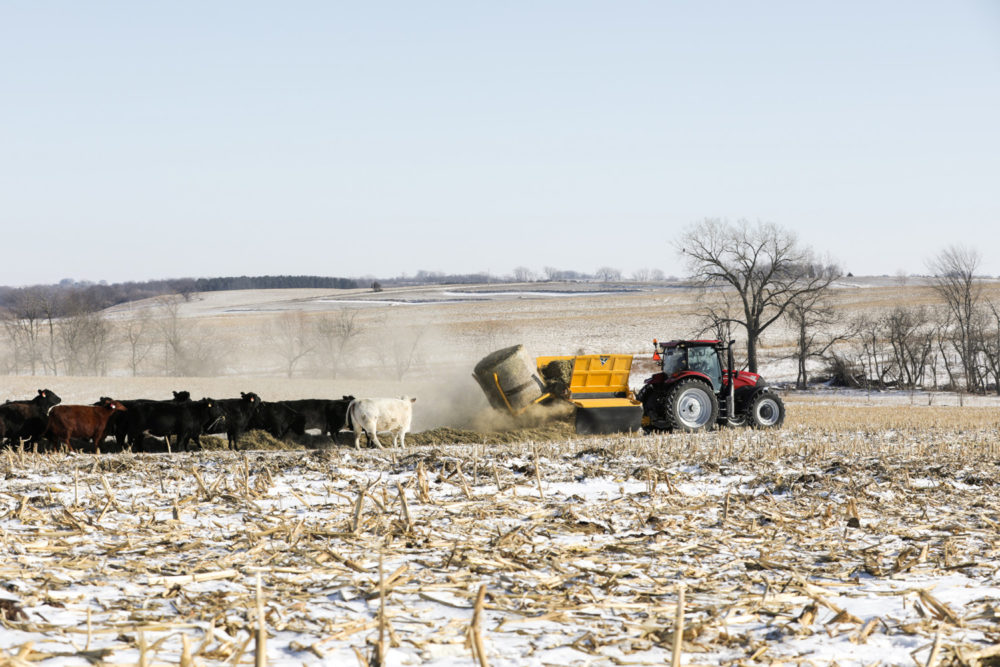 A Bale Processor to Fit Your Operation